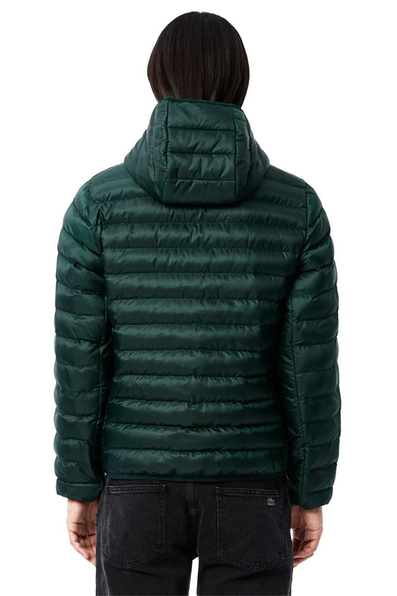Lacoste Men's Green Jacket - BH2909 00